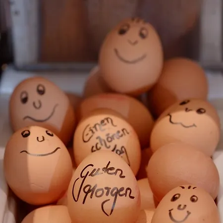 Hotel Hansens Haus Am 4*