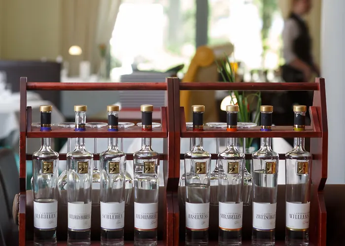 Отель Hansens Haus Am