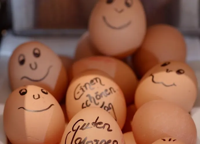 Hotel Hansens Haus Am 4*